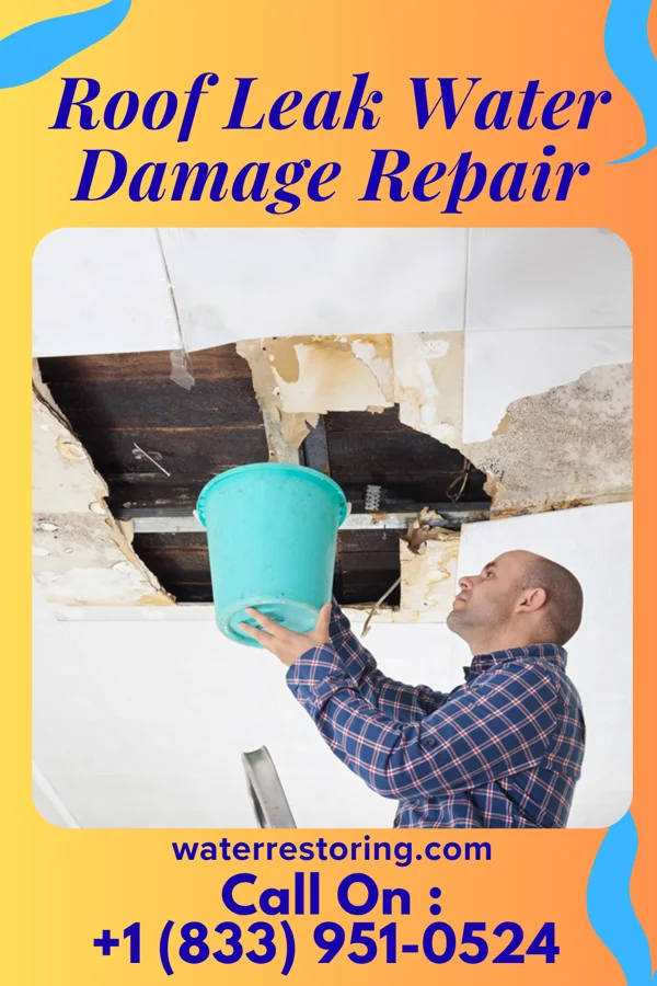Roof Leak Water Damage Repair in Crystal Lake Park, MO