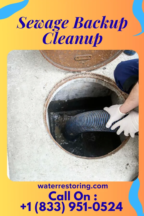Sewage Backup Cleanup in Crystal Lake Park, MO