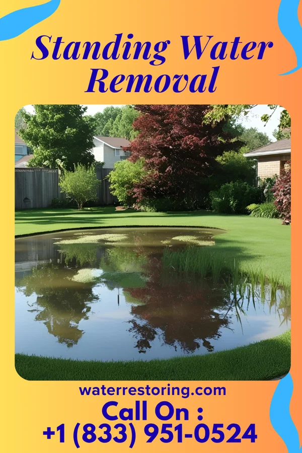 Standing Water Removal in Crystal Lake Park, MO